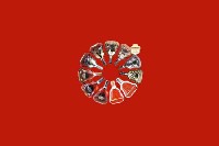 青岛市李沧回收红酒